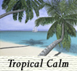 Tropical Calm